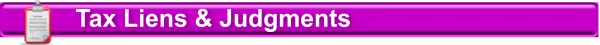tax liens judgments search tax liens judgments search