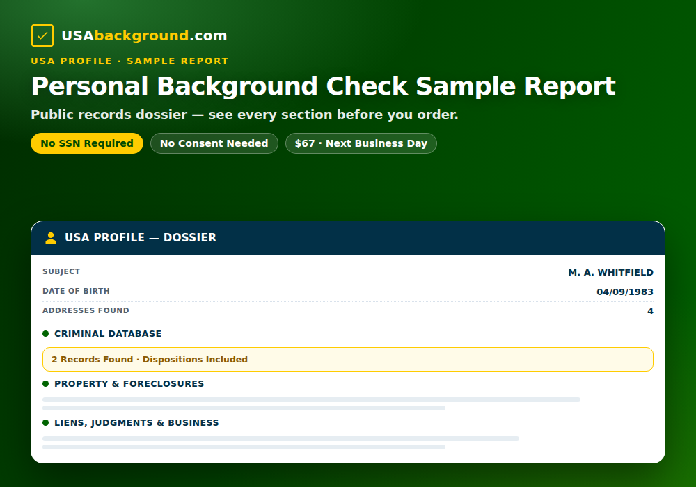 USA Profile personal background check sample report showing identity, criminal, property and business record sections